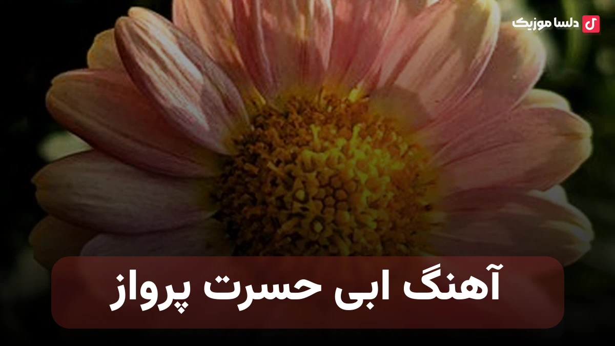 ابی حسرت پرواز نسخه کامل